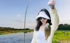 黄金罗盘有几部